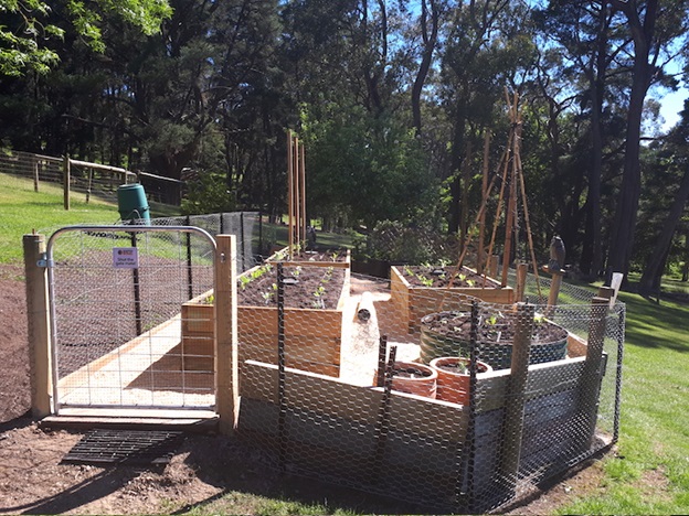 Newly renovated veggie garden in Aldgate Adelaide